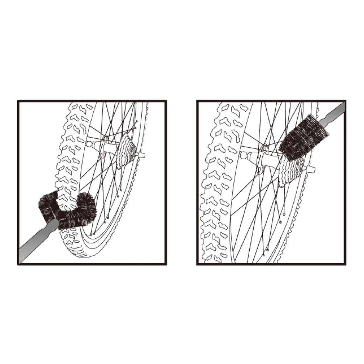 801528_1. Webp 801528 1