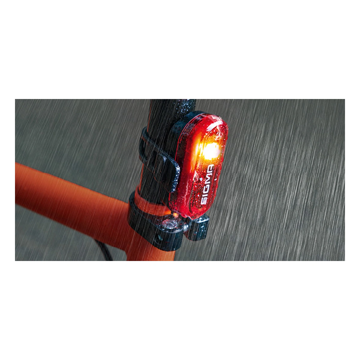 801575_6-1. Webp 801575 6 1