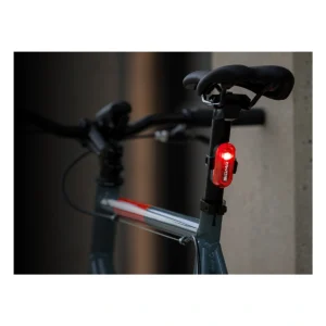 801575_9-1. Webp 801575 9 1