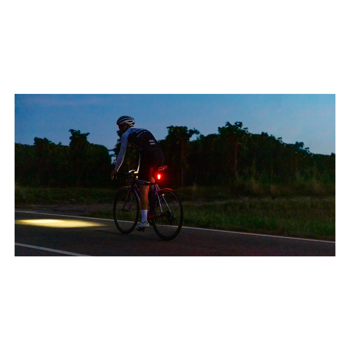 801584_16. Webp 801584 16