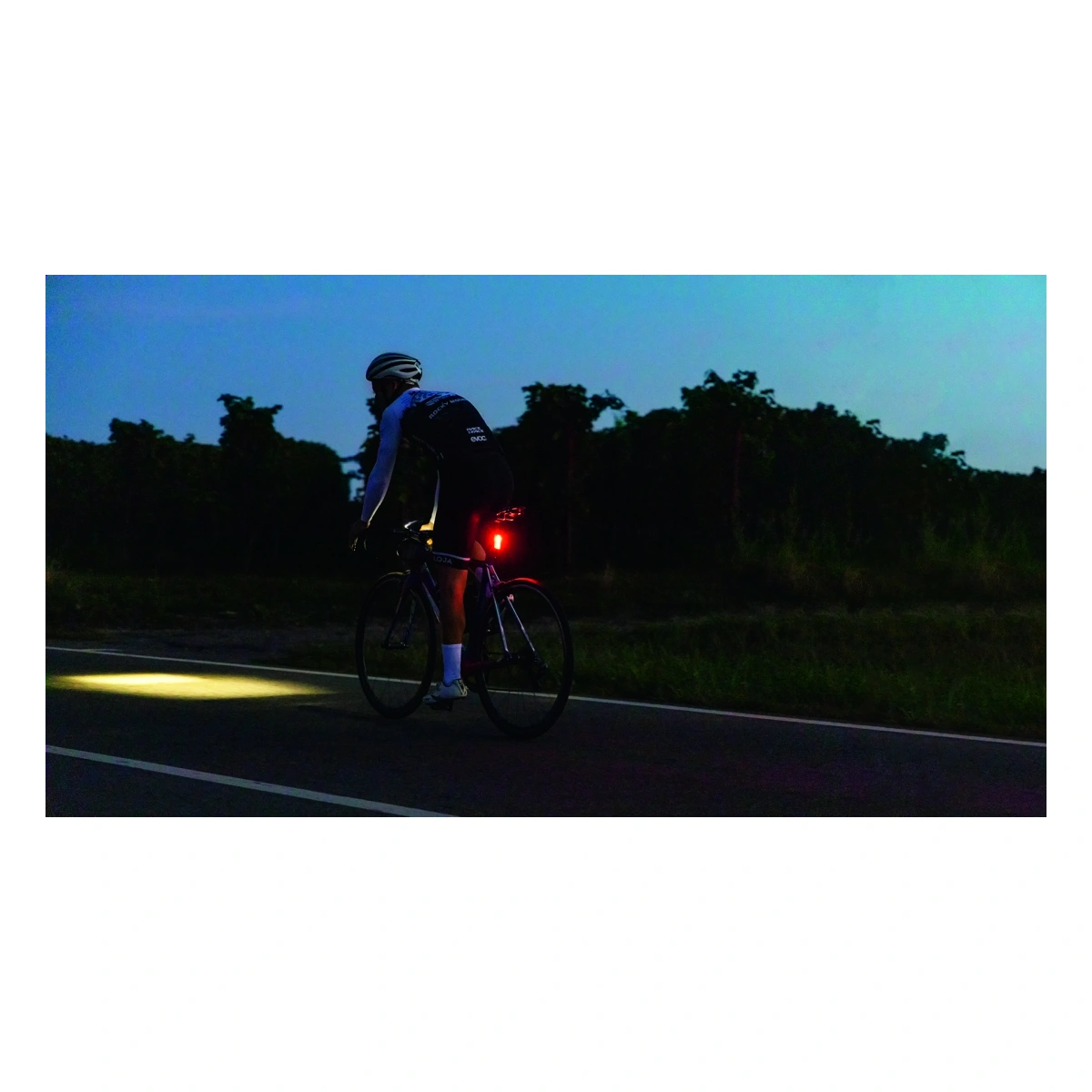 801591_1. Webp 801591 1