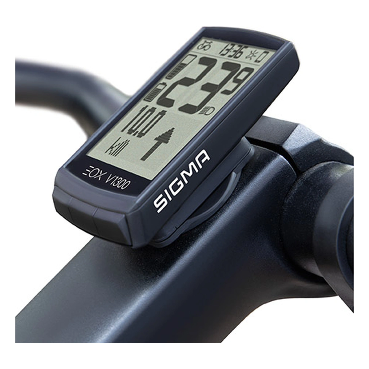 801639_6. Webp 801639 6