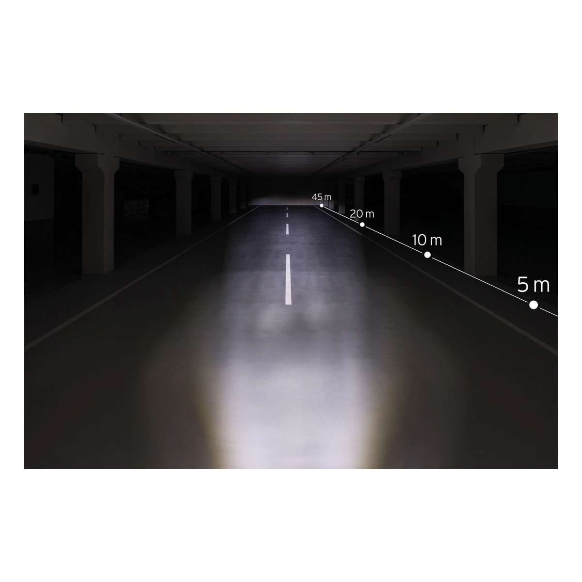 801642_2. Webp 801642 2