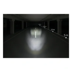 801646_1. Webp 801646 1