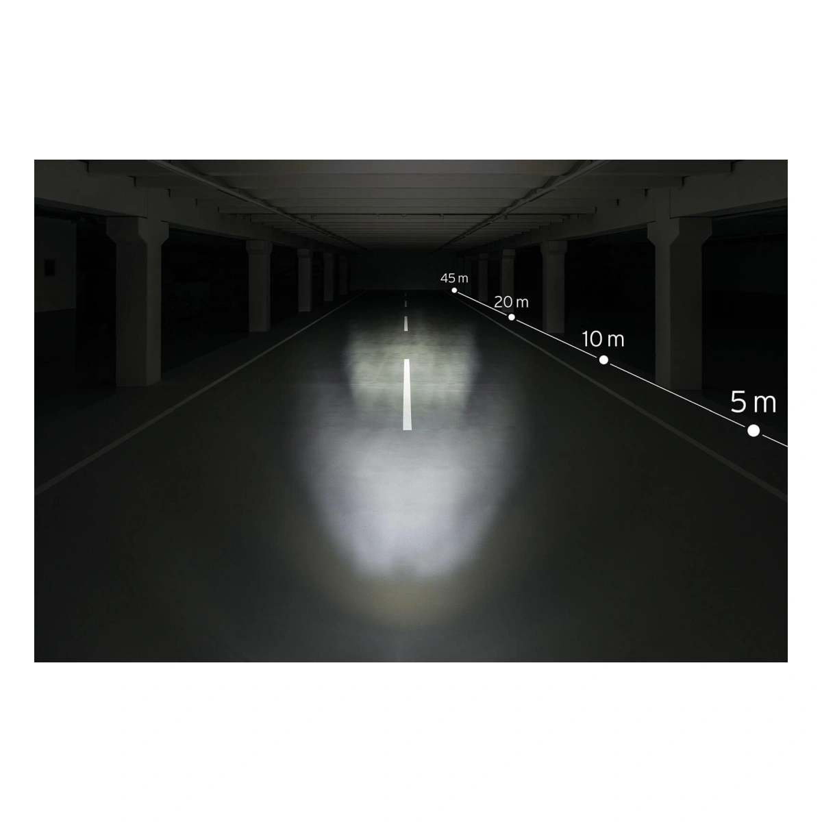 801646_1. Webp 801646 1