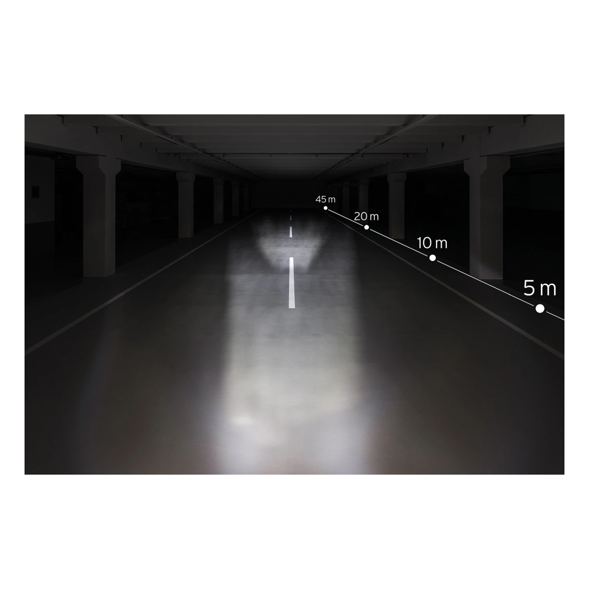 801675_1. Webp 801675 1