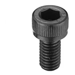 81030159_5-1. Webp 81030159 5 1