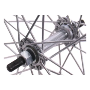 817240-1-1. Webp 817240 1 1