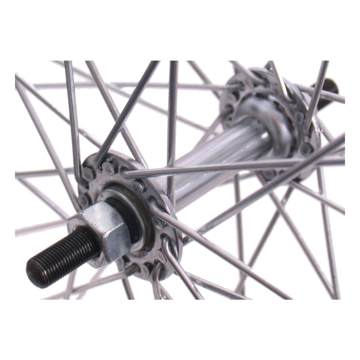 817240-1-1. Webp 817240 1 1