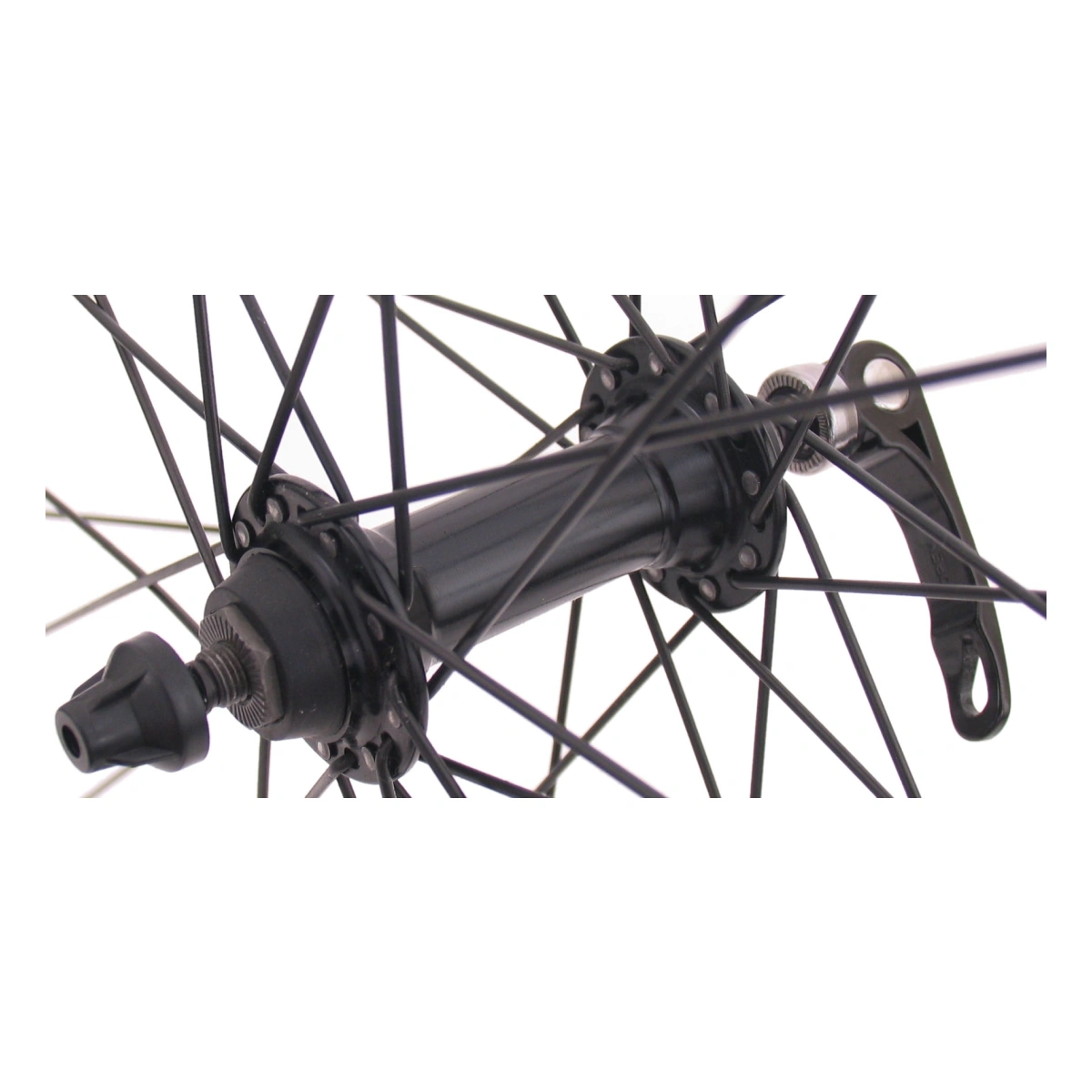 81726002_4-1. Webp 81726002 4 1