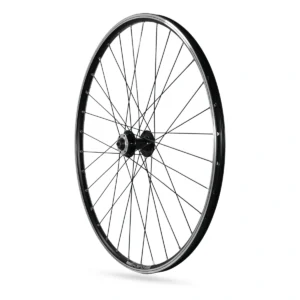 81729001_1-1. Webp 81729001 1 1