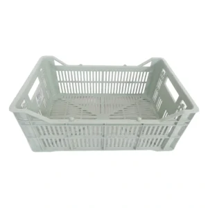 82022065_1. Webp 82022065 1