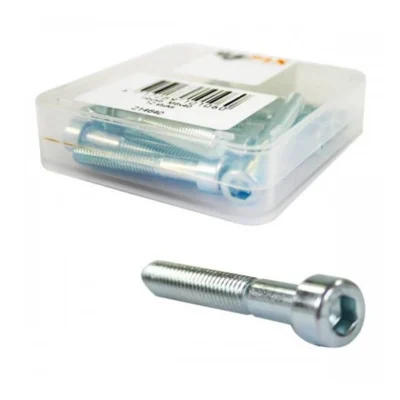 Inbusbout M6 x 40 Bofix RVS (12 stuks)