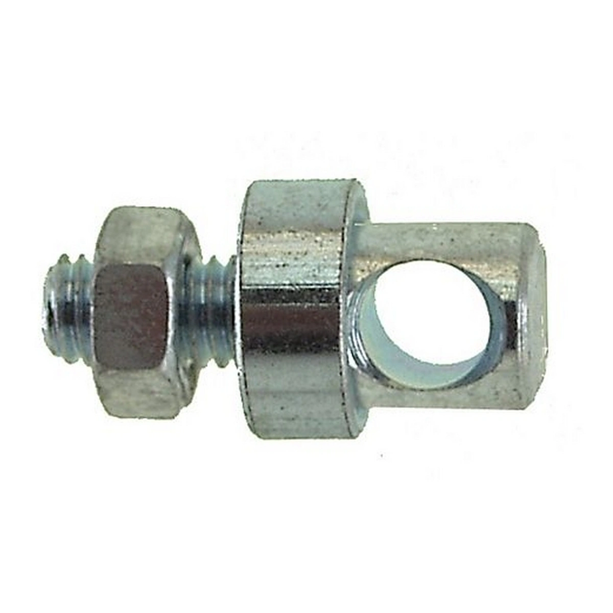 858310_1-1. Webp 858310 1 1