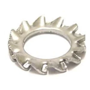 Tandveerring Bofix M5 RVS (100 stuks)