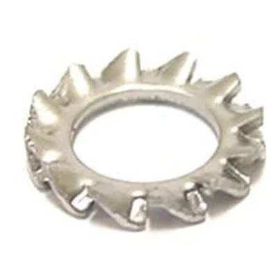 Tandveerring Bofix M6 RVS (100 stuks)