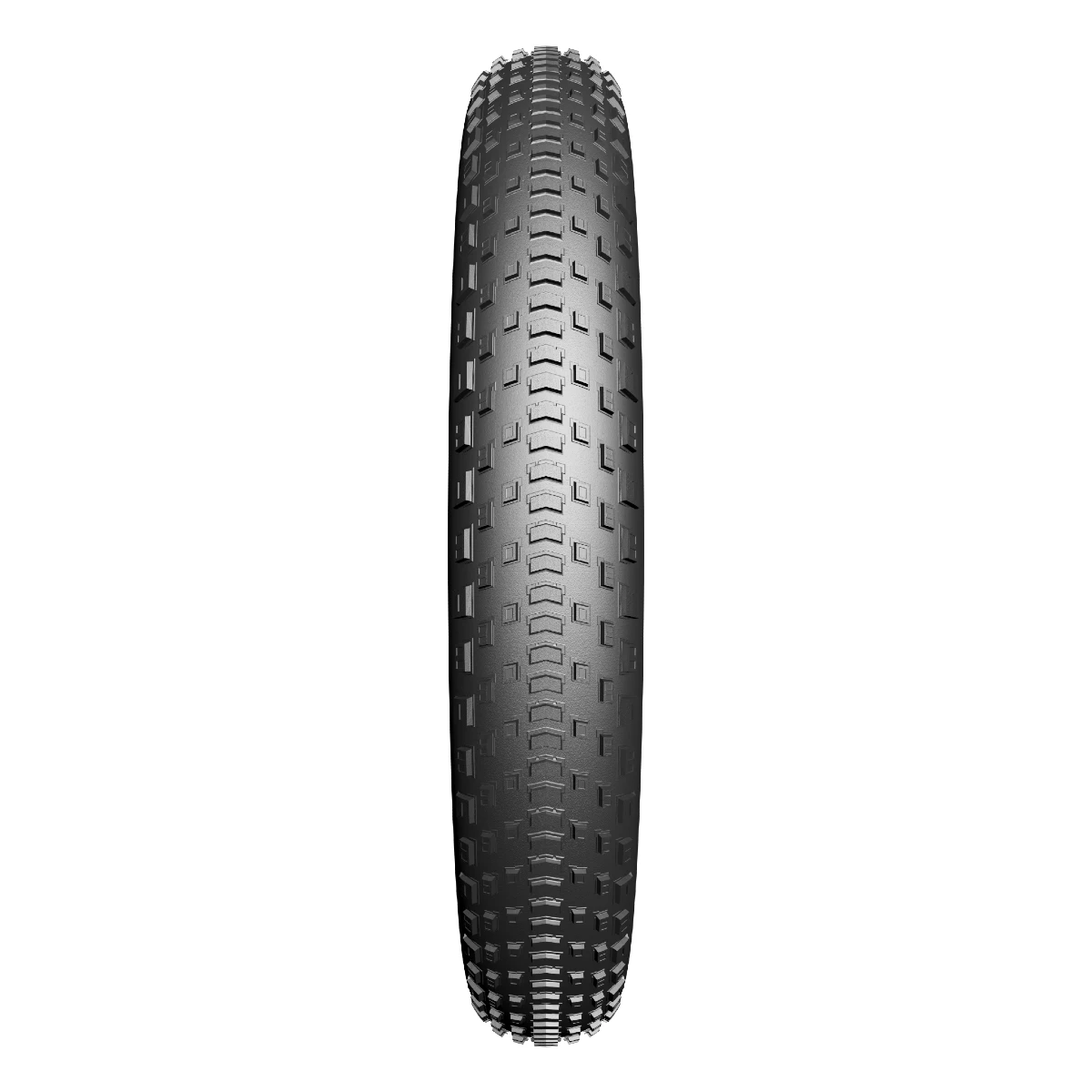 buitenband edge fat bst protect 20 x 4 00 101 406 fatbike zwart 01
