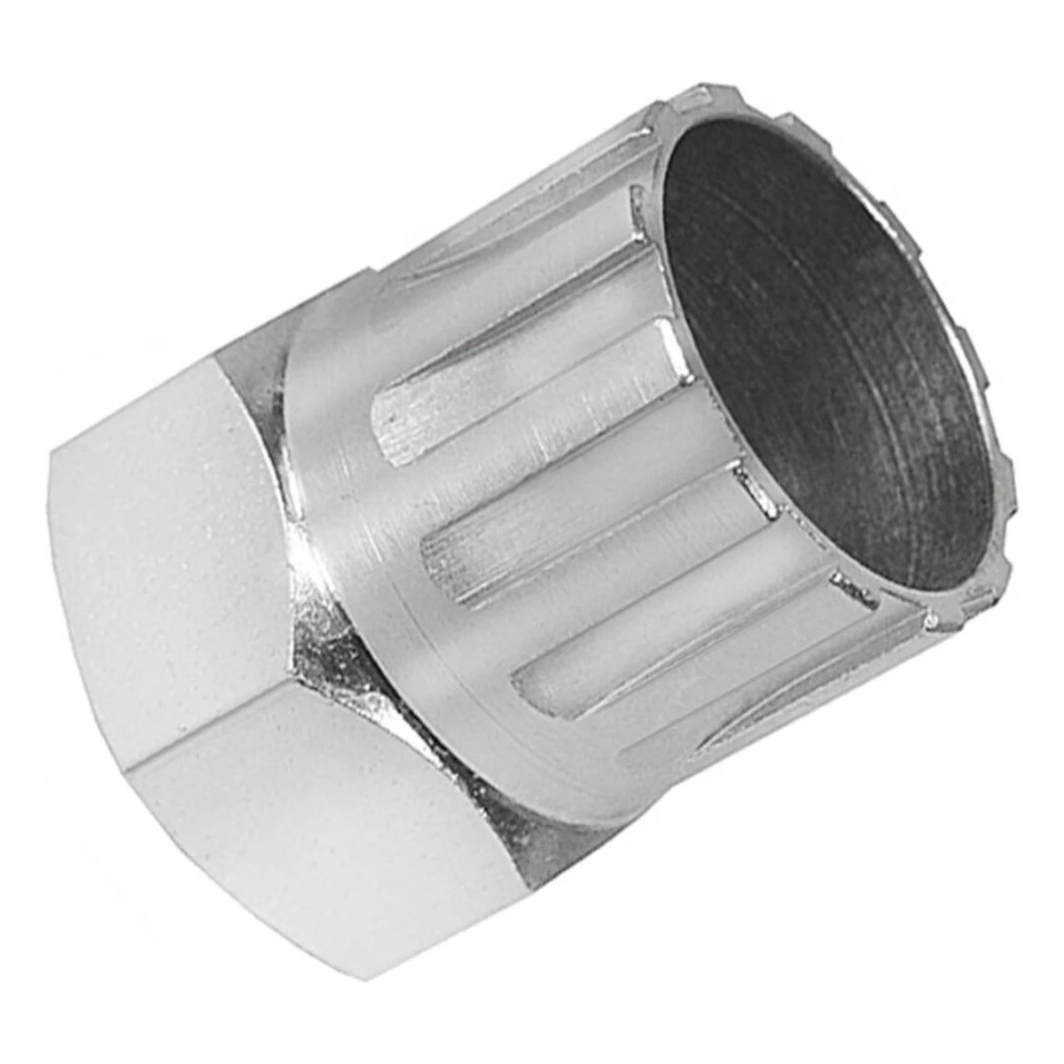 Cyclus-pionafnemer-campalogo-8-9-11-speed. Webp cyclus pionafnemer campalogo 8 9 11 speed