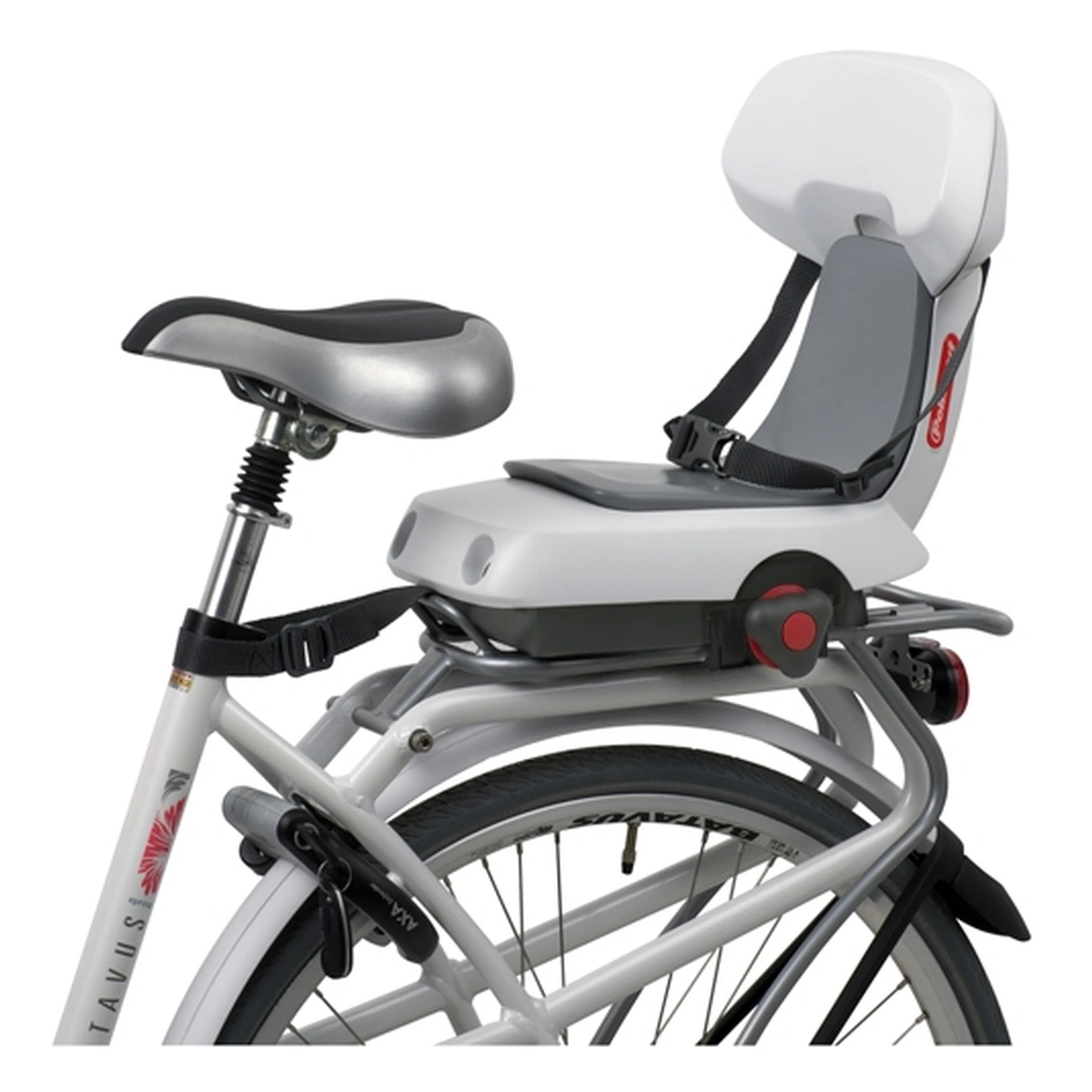 Guppy-junior-1. Webp guppy junior 1