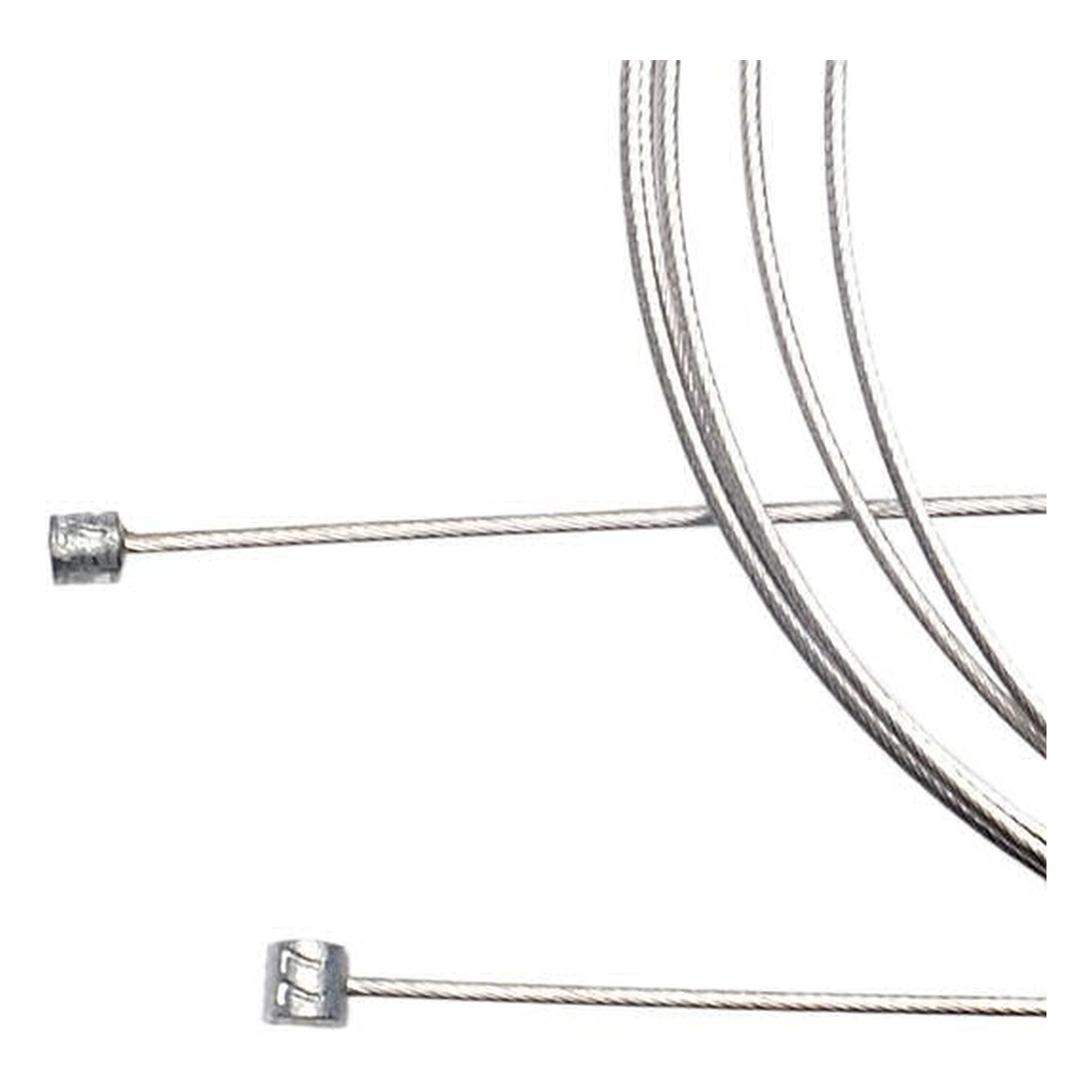 S020215-2. Webp s020215 2