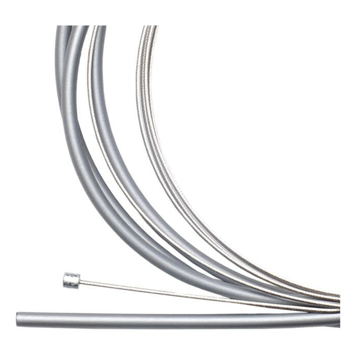 S020217. Webp s020217