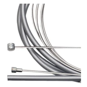 S020220_1. Webp s020220 1