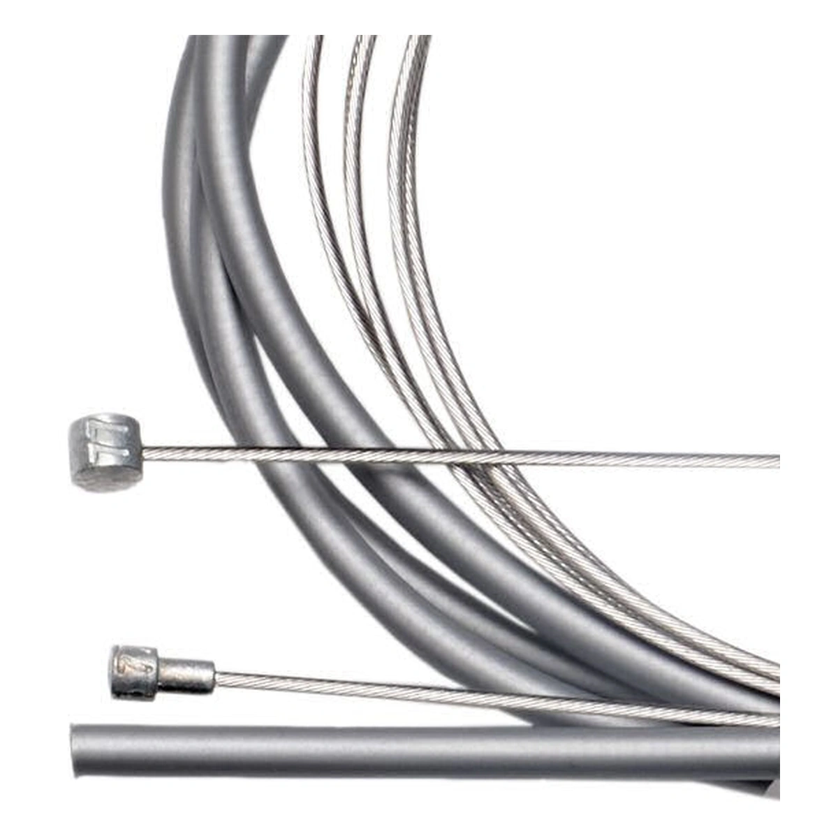 S020220_1. Webp s020220 1