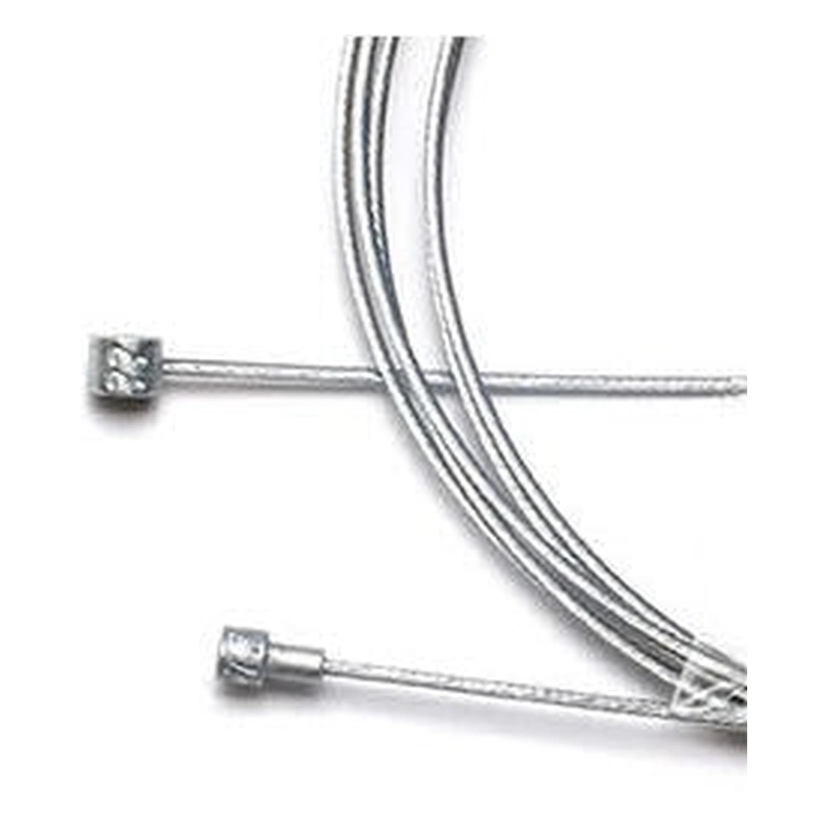 S020963_1. Webp s020963 1