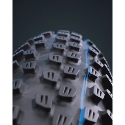 schwalbe racing ray thumb 1