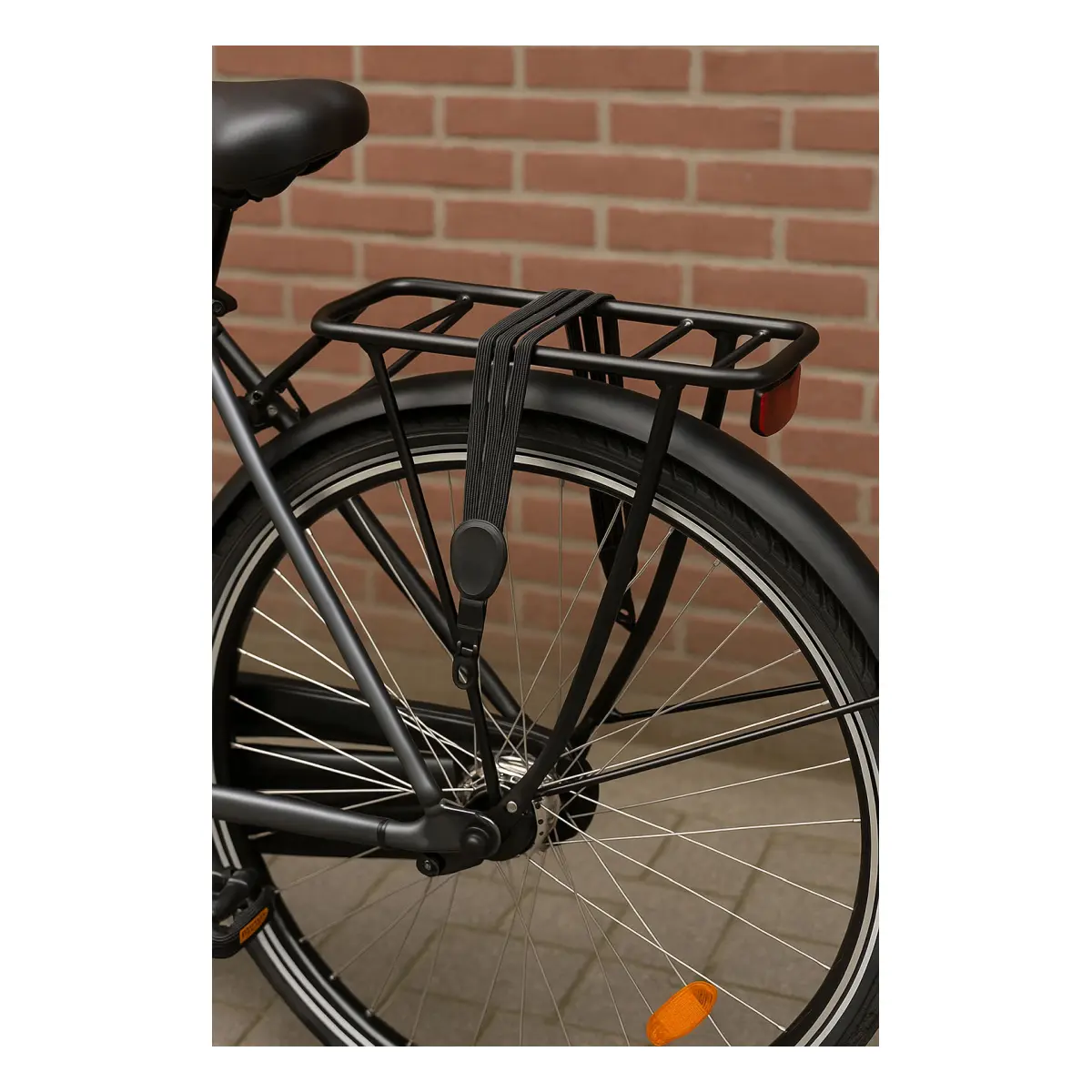 10003_4. Webp 10003 4