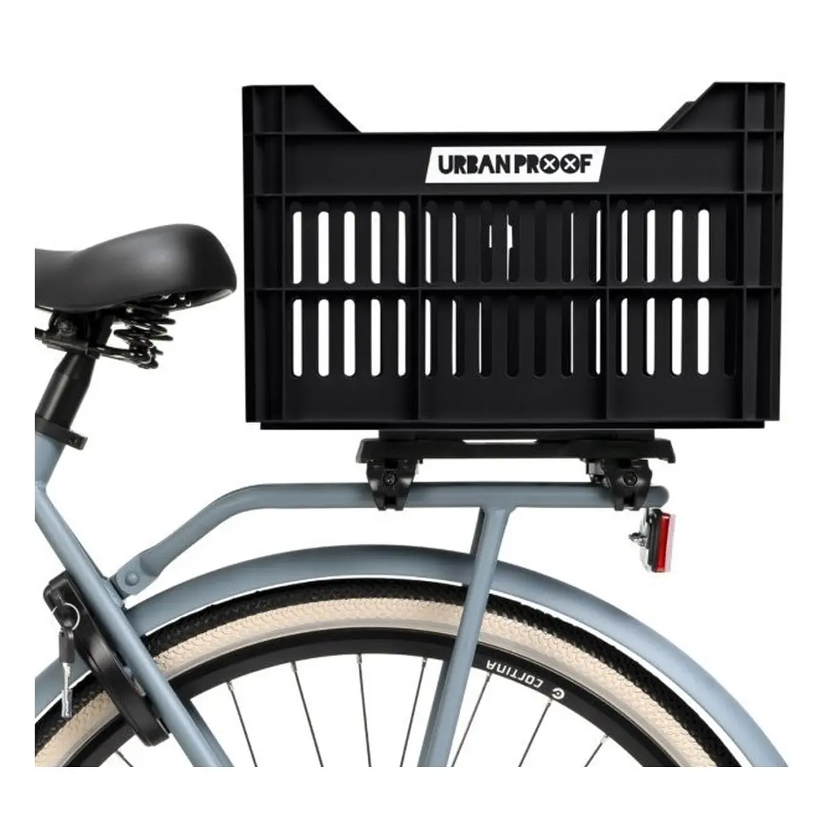 10083_9. Webp 10083 9