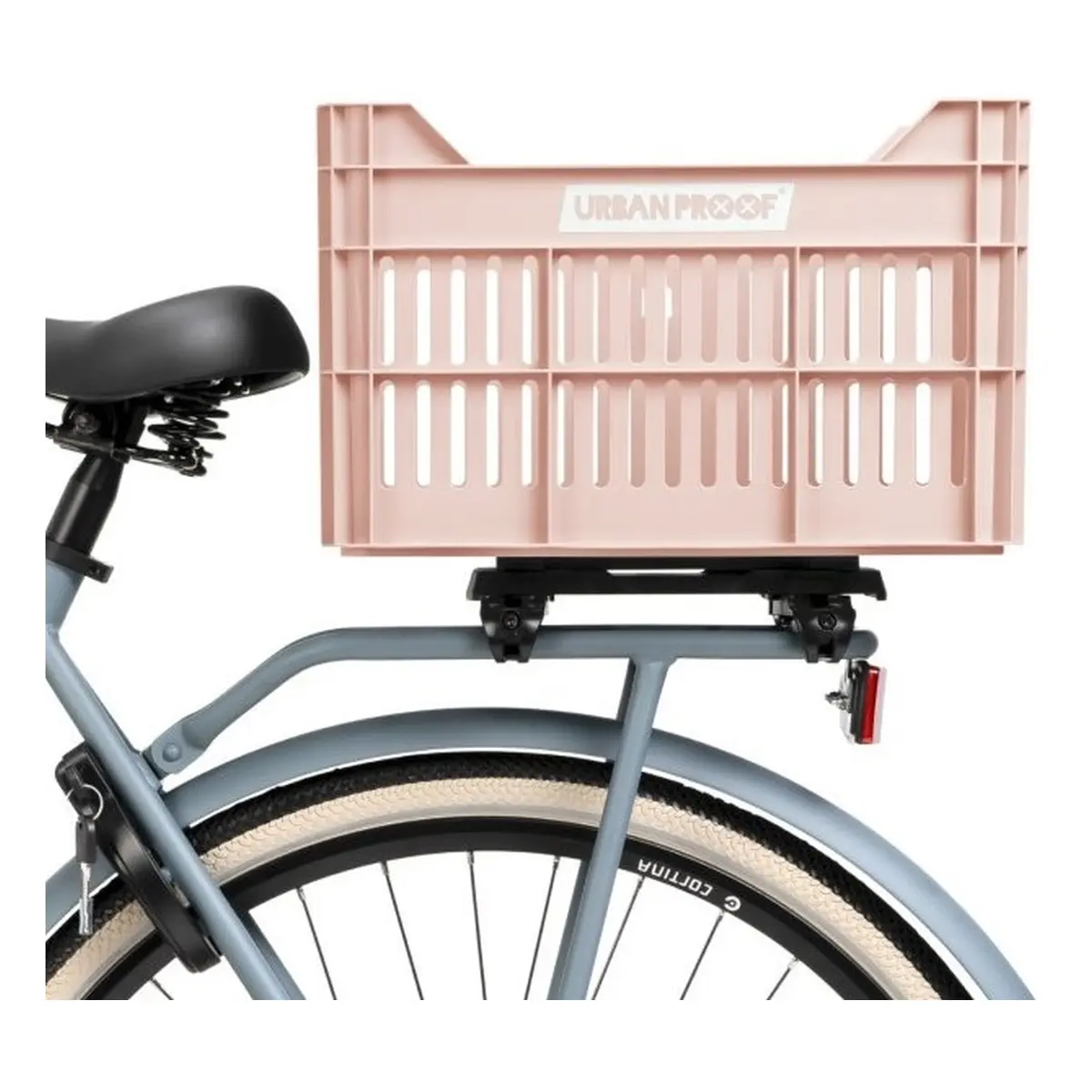 10086_9. Webp 10086 9