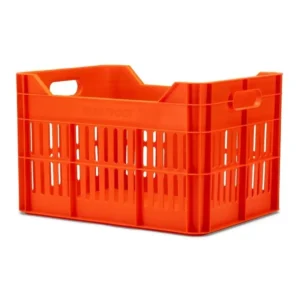 10089_1. Webp 10089 1