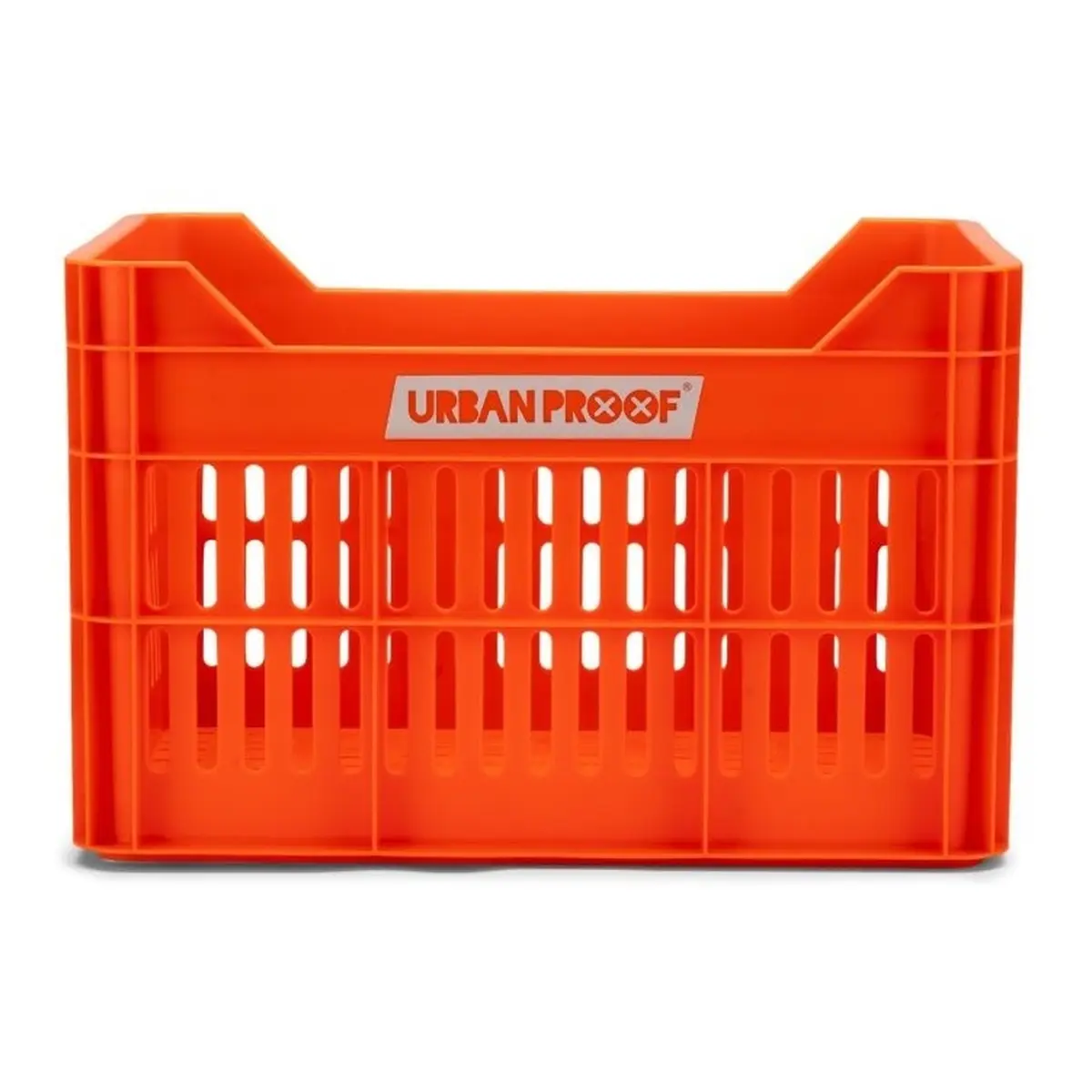 10089_2. Webp 10089 2