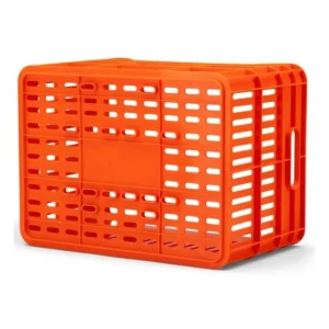 10089_4. Webp 10089 4