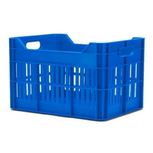 10090_1. Webp 10090 1