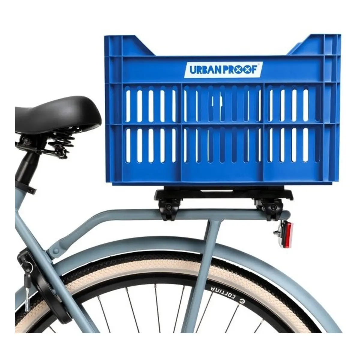 10090_10. Webp 10090 10