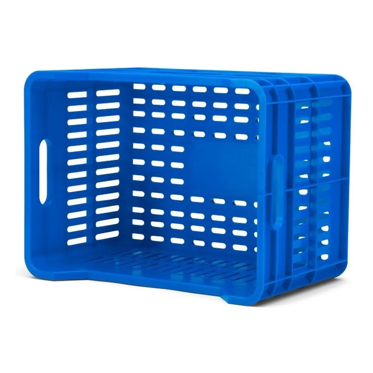 10090_4. Webp 10090 4