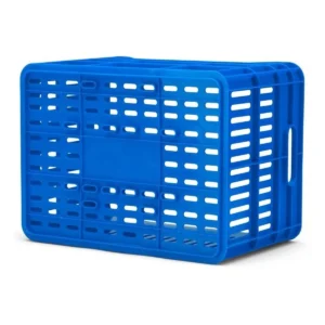 10090_5. Webp 10090 5