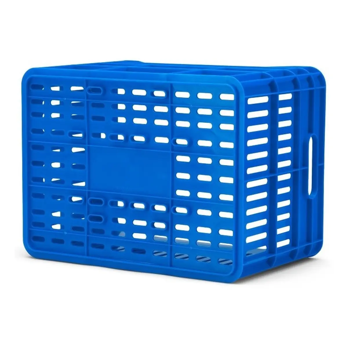 10090_5. Webp 10090 5