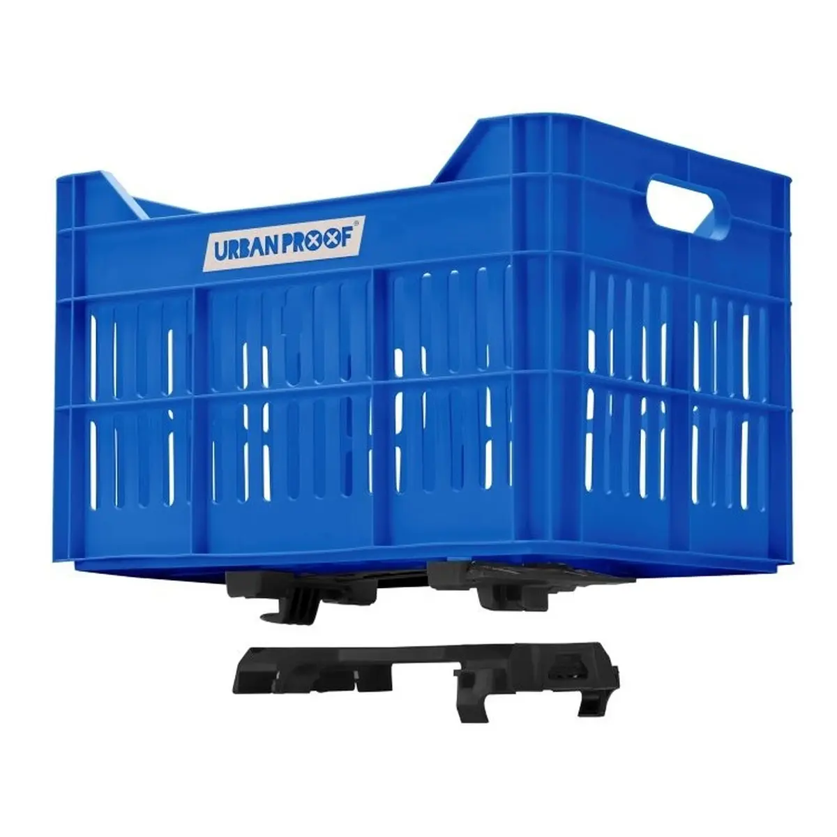 10090_7. Webp 10090 7