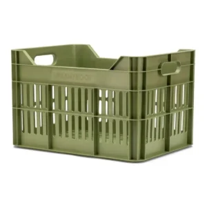 10091_1. Webp 10091 1