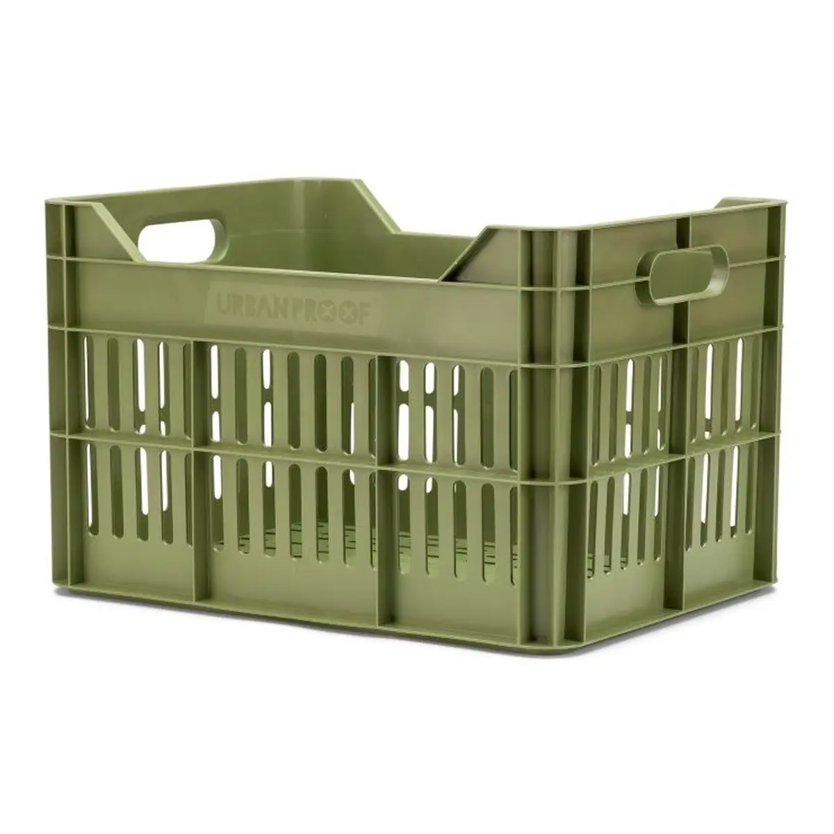 10091_1. Webp 10091 1