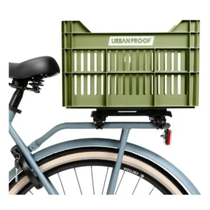 10091_10. Webp 10091 10