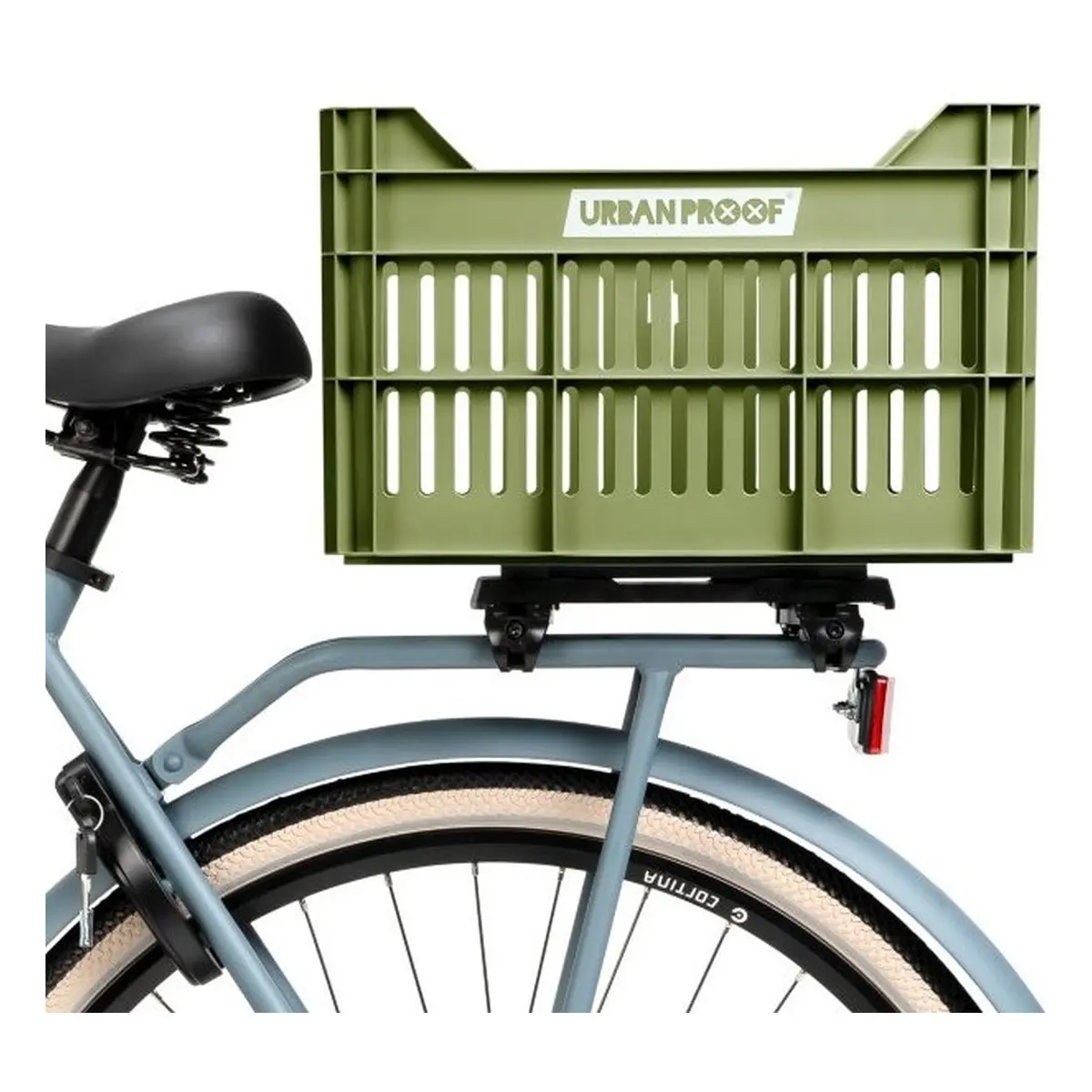 10091_10. Webp 10091 10