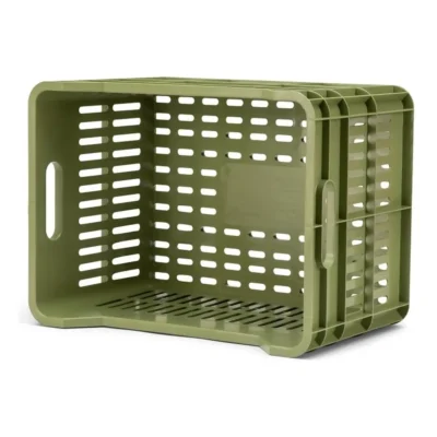 10091_4. Webp 10091 4