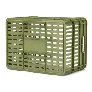 10091_5. Webp 10091 5