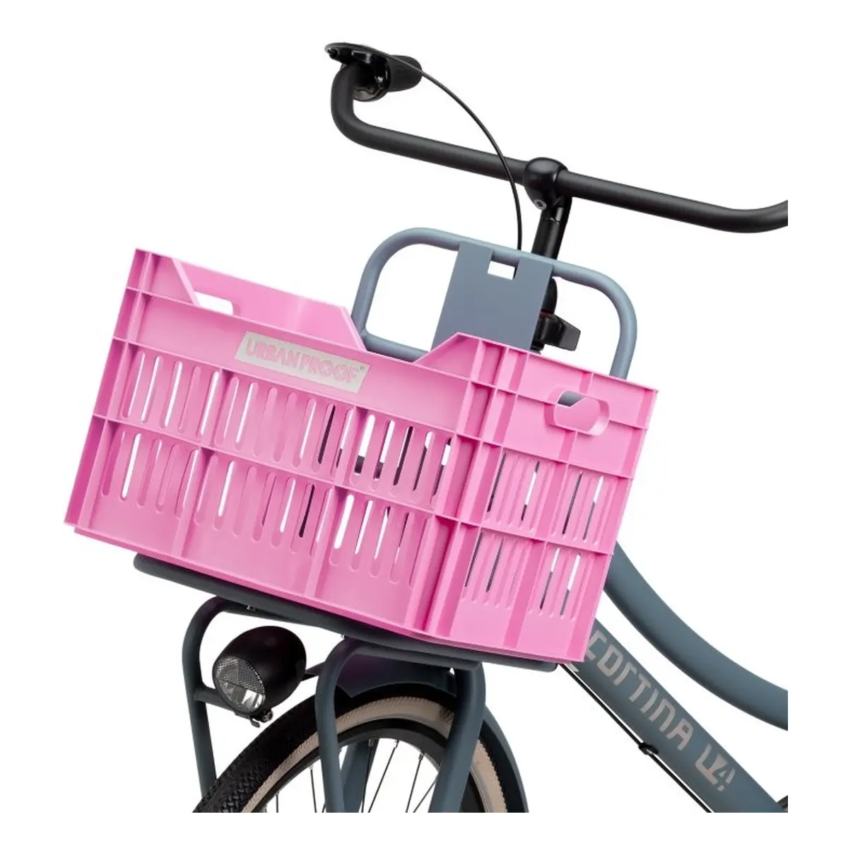 10093_8. Webp 10093 8