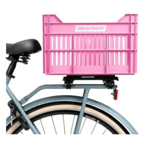 10093_9. Webp 10093 9