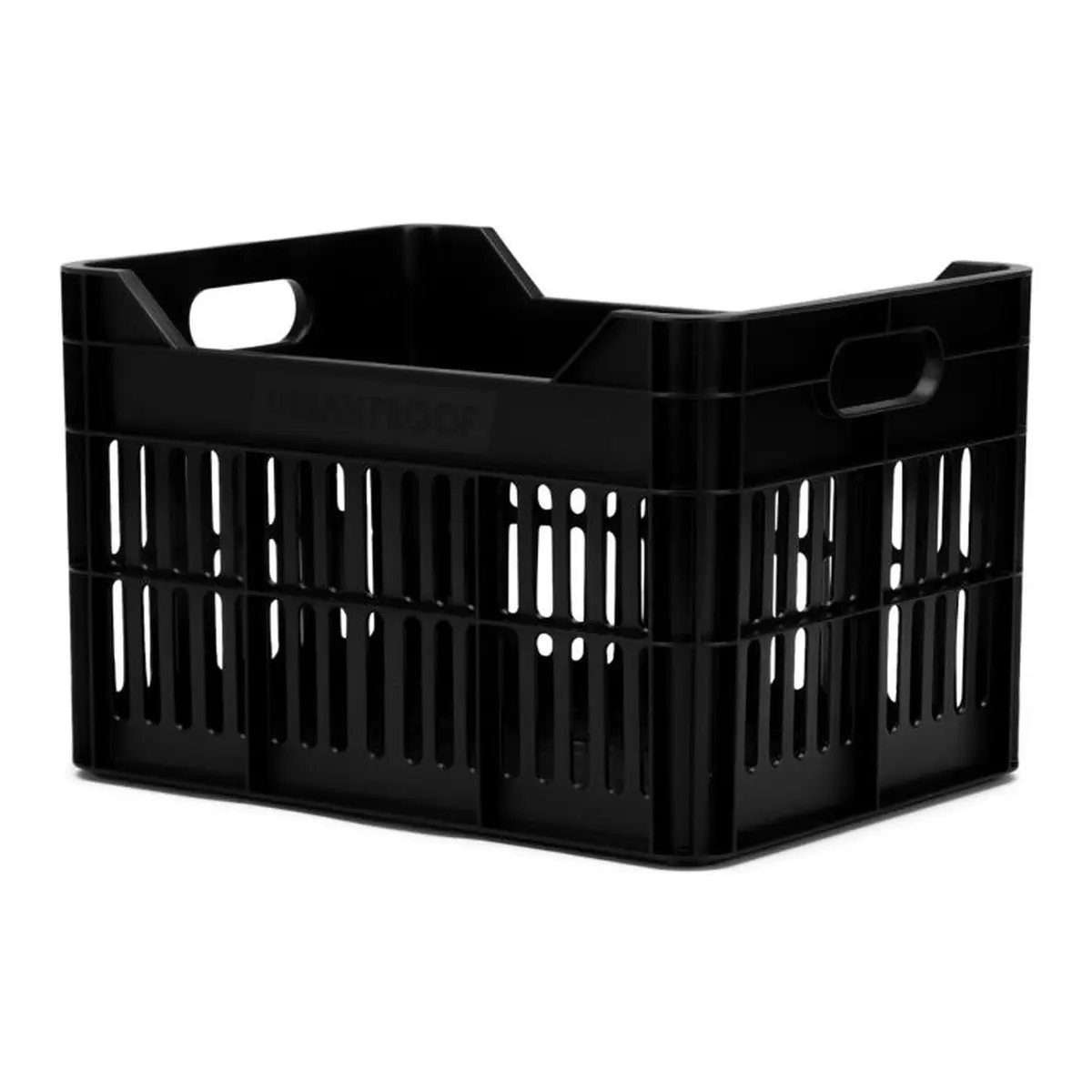 10095_1. Webp 10095 1